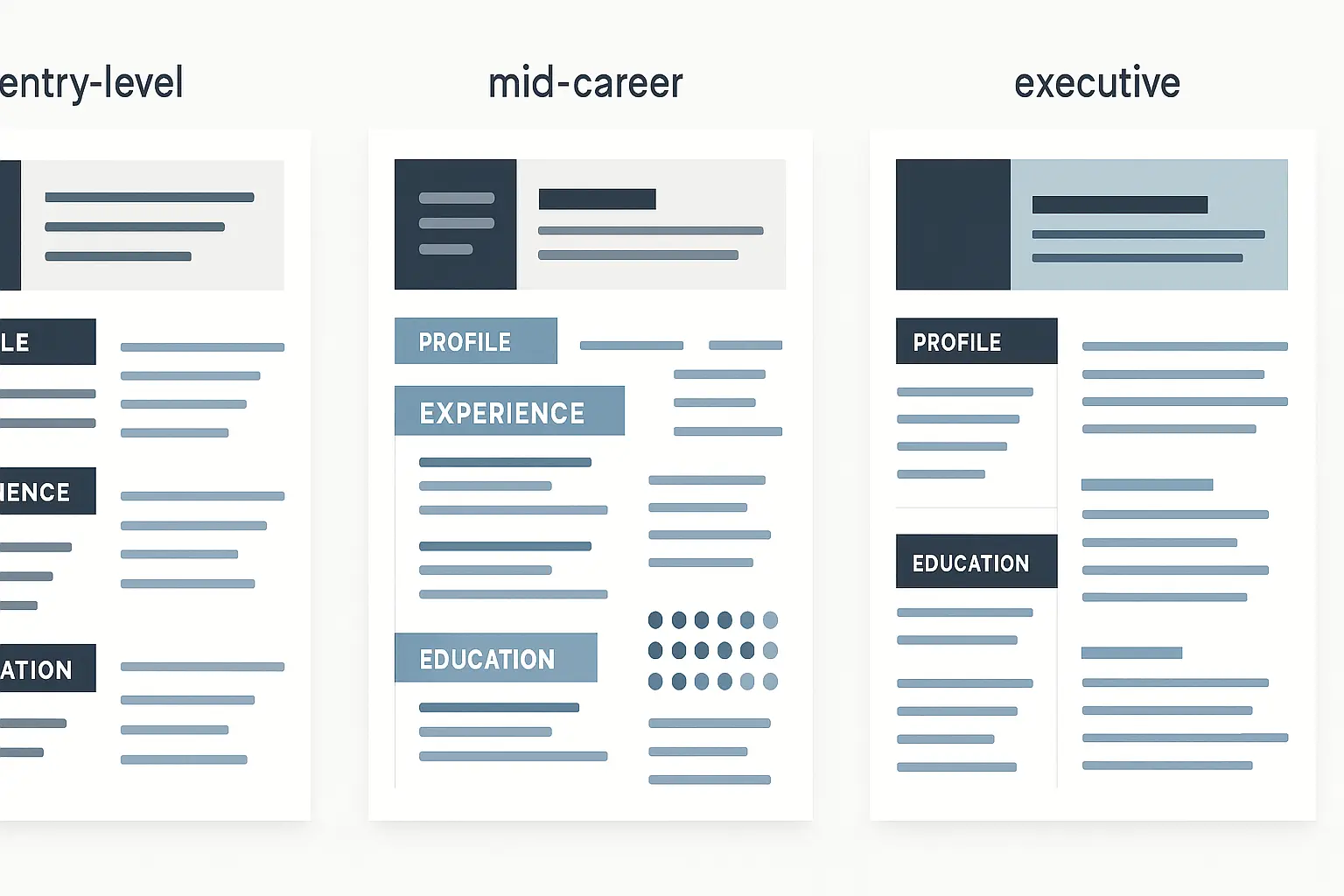 Career stage resume adaptations
